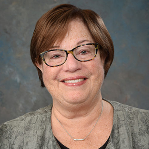 CSG Midwest Assistant Director Ilene Grossman.