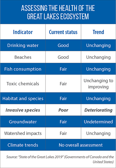 Assessment of Great Lakes health