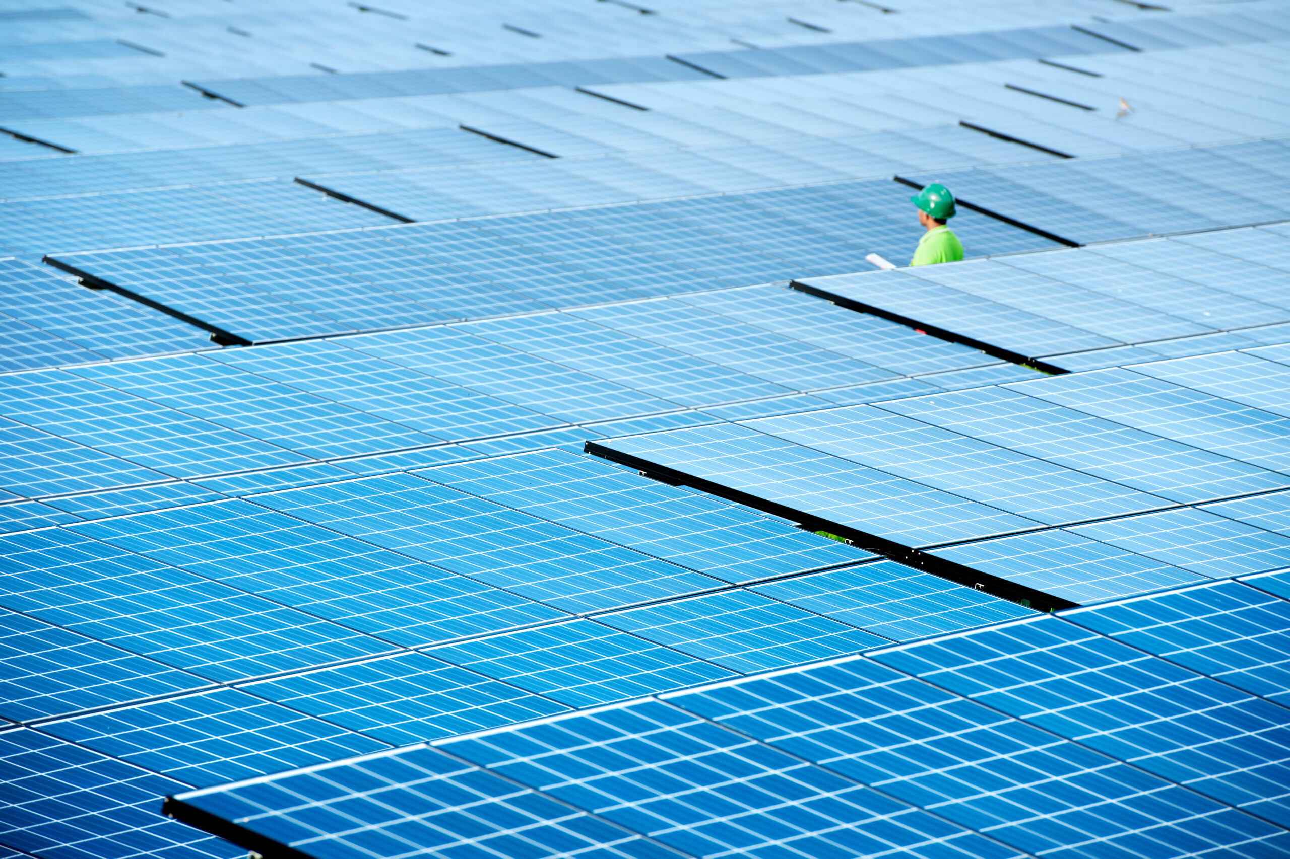 Photo of a solar energy worker in a field of solar panels